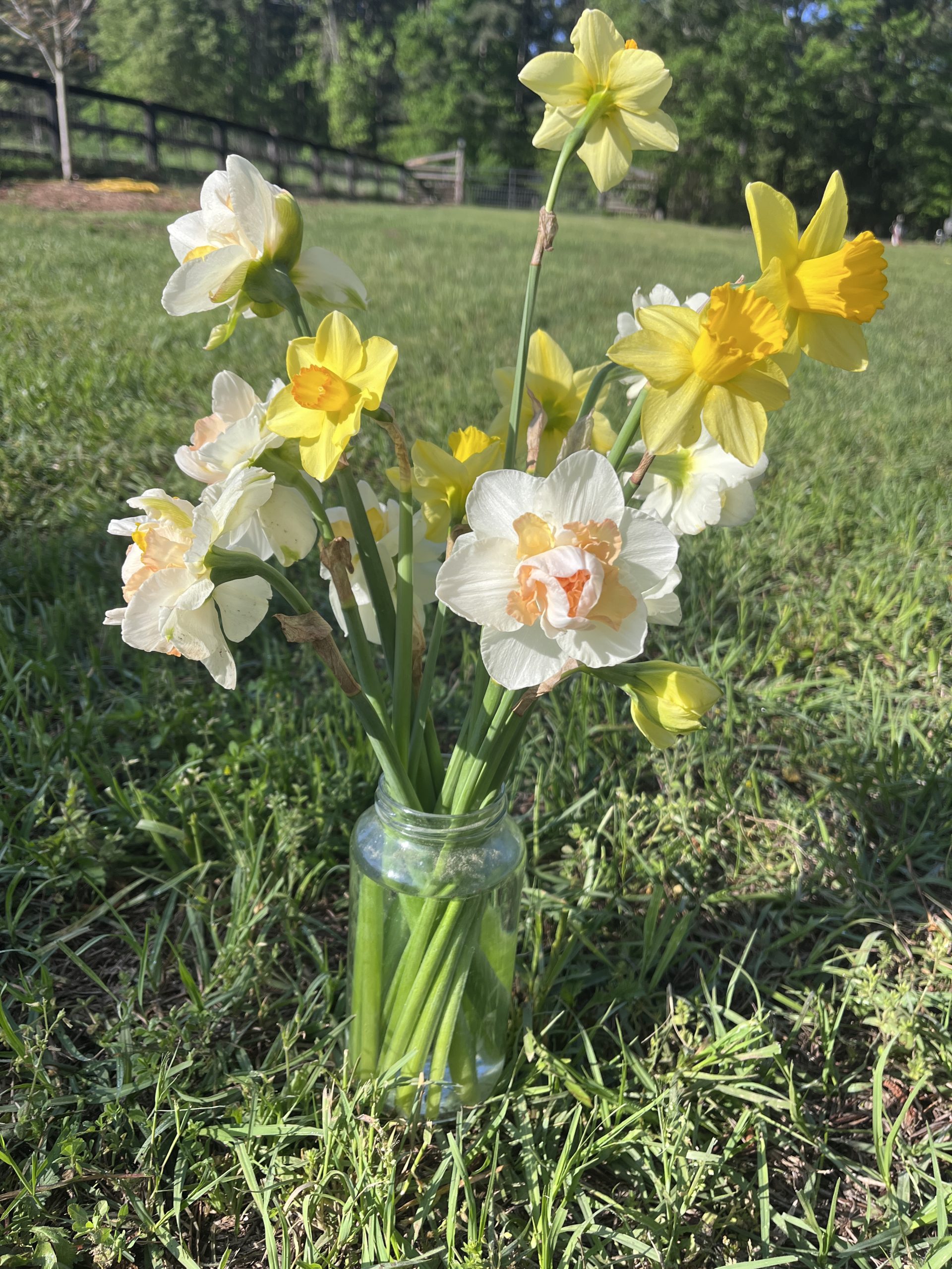 10 Flower Care Tips to Keep Your Bouquets Fresh and Vibrant